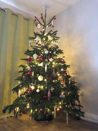 Wishing You a Merry Christmas and a Happy New Year. - Click here to view this entry